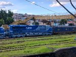 RUMO 9598